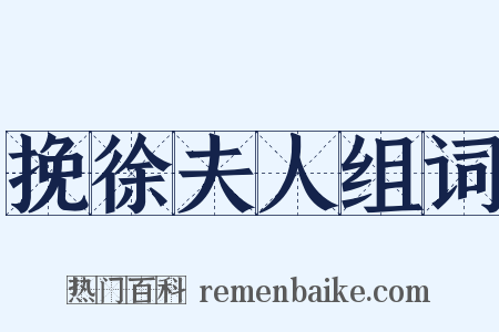 挽徐夫人组词是什么意思的图片